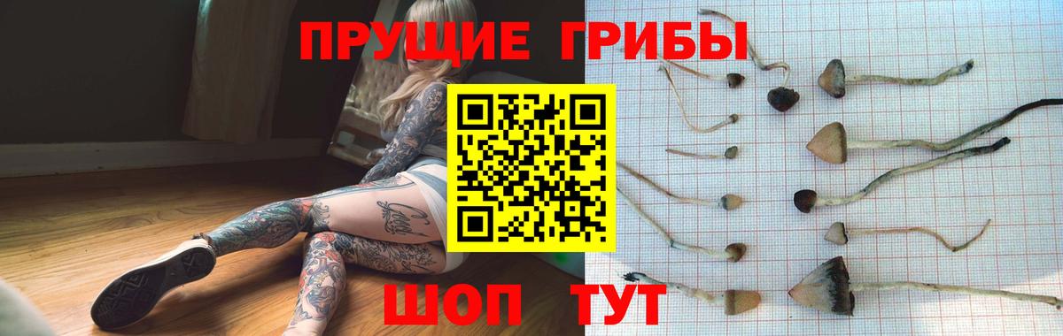 что такое наркотик  Вход с VPN  Верхняя Салда  Галлюциногенные грибы мухоморы 